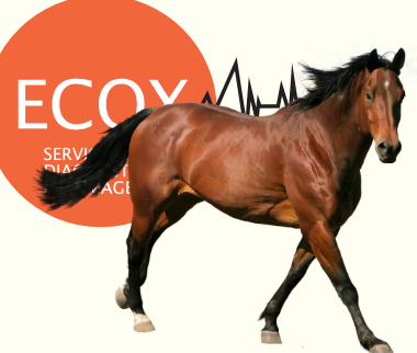 Proffesional surgeries